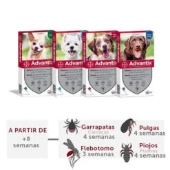 Bayer Advantix Pipetas Antiparasitarias Para Perros
