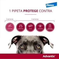 Bayer Advantix Pipetas Antiparasitarias Para Perros -Perros Artículos Tienda salud perros advantix pipetas menos 4kg BAY01718 M 8
