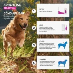 Frontline Tri-Act Pipetas Antiparasitarias Para Perros 20 - 40 Kg -Perros Artículos Tienda salud perros frontline tri acti antiparasitario 20 40Kg MER558829 M201