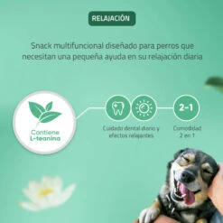 Virbac Láminas Veggiedent Zen L Para Perros -Perros Artículos Tienda snack perros virbac laminas veggiedent zen l VIRVN100832 5.jpg5B15D