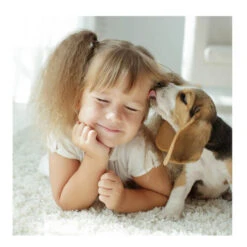 Beaphar Fiprotec Spray Antiparasitario Para Perros Y Gatos -Perros Artículos Tienda spray antiparasitario perro gato beaphar fiprotec BEA15408 3