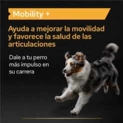 Pro Plan Mobility+ Suplemento Para Perros -Perros Artículos Tienda suplemento perro pro plan mobility PRO12505564 4
