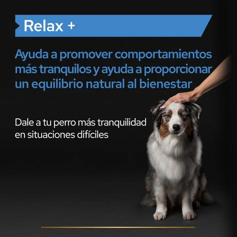 Pro Plan Relax + Suplemento En Aceite Para Perros 5 Pro Plan Relax + Suplemento En Aceite Para Perros - Imagen 3