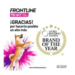Frontline Tri-Act Pipetas Antiparasitarias Para Perros 20 - 40 Kg -Perros Artículos Tienda triact brand of the year frontline MER558826 M