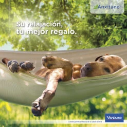 Virbac Anxitane Relajantes En Comprimidos Para Perros Y Gatos -Perros Artículos Tienda virbac anxitane relajantes en comprimidos para perros y gatos VIR38941 M.11
