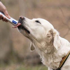 Virbac Nutriplus Suplemento En Gel Para Perros Y Gatos 11 Virbac Nutriplus Suplemento En Gel Para Perros Y Gatos -Perros Artículos Tienda virbac nutriplus suplemento en gel para perros y gatos VIRVN100491 M.12