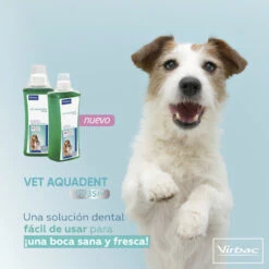 Virbac Vet Aquadent Enjuague Bucal Para Perros Y Gatos 10 Virbac Vet Aquadent Enjuague Bucal Para Perros Y Gatos -Perros Artículos Tienda virbac vet aquadent enjuague bucal para perros y gatos VIRVN100247 M.12