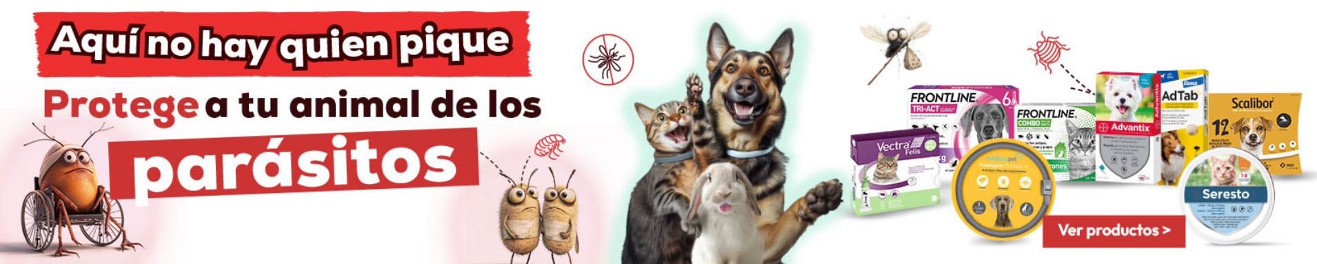 Perros Artículos Tienda -Perros Artículos Tienda SEDFSF